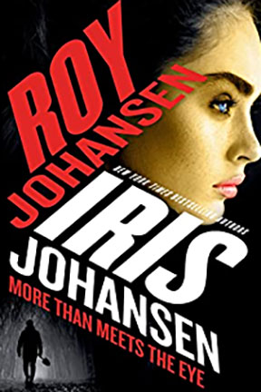 Cover image of More Than Meets the Eye by Iris Johansen and Roy Johansen