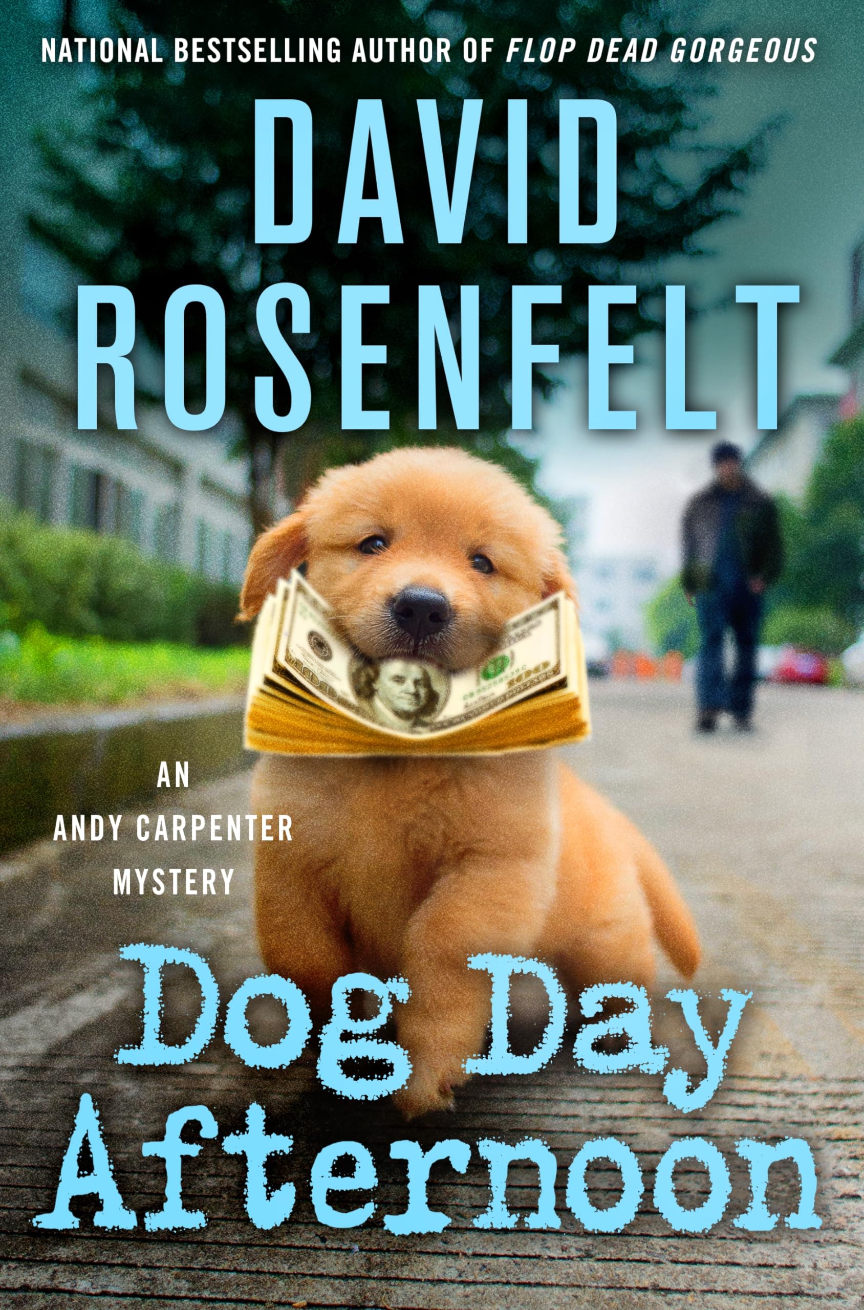 Dog Day Afternoon by David Rosenfelt Book Cover Graphic